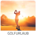 Trip Wien zeigt Reiseideen für den nächsten Golf Trip im Urlaubsziel Wien. Lust auf Highlights, Top Urlaubsangebote, Preisknaller & Geheimtipps? Hier ▷